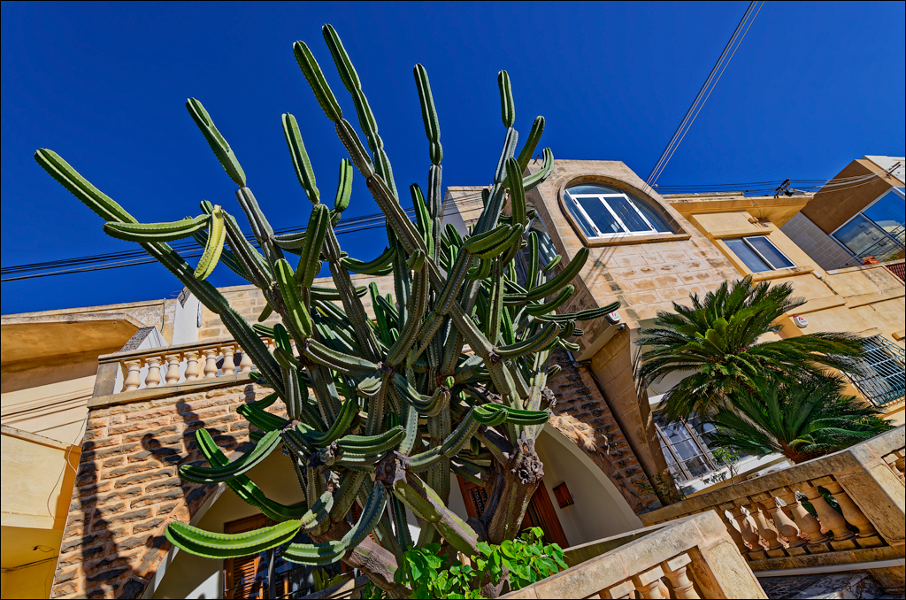 BalzanNaxxar 141  DSC8571 DxO