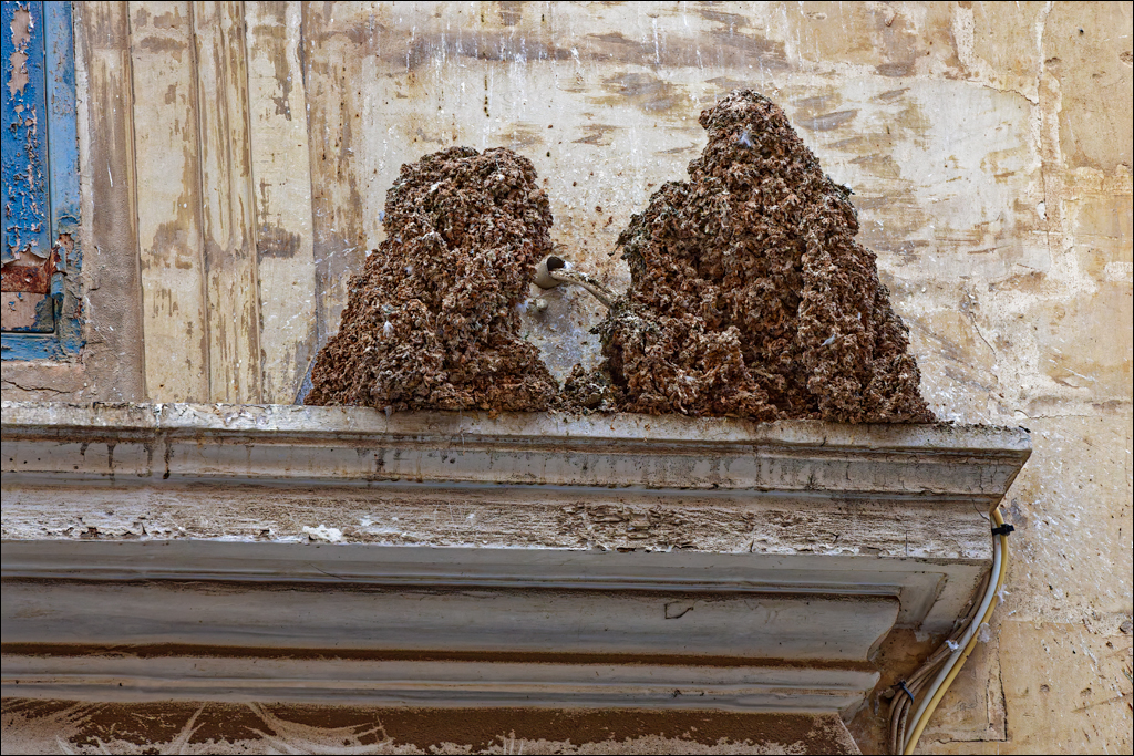 ValettaSliema2 173  DSC7211 DxO