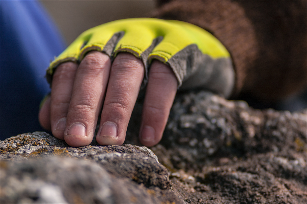 Cobani 2006 20060415024