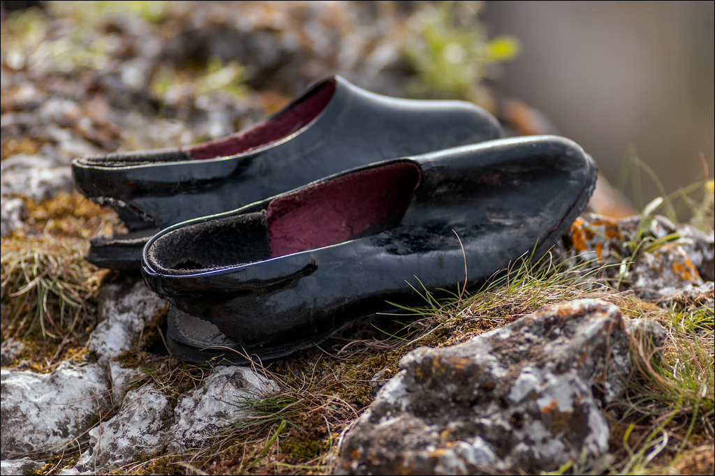 Cobani 2006 20060416020