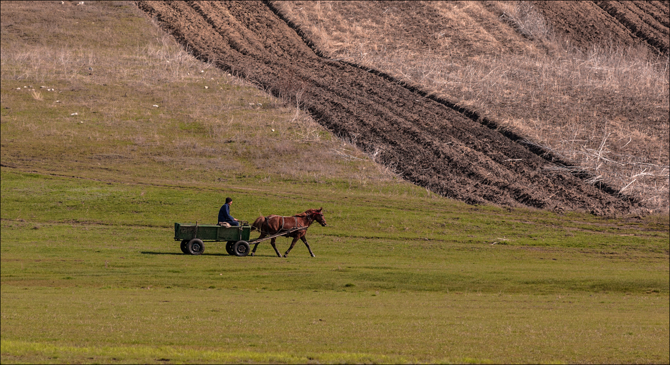 Cobani 2006 20060416042