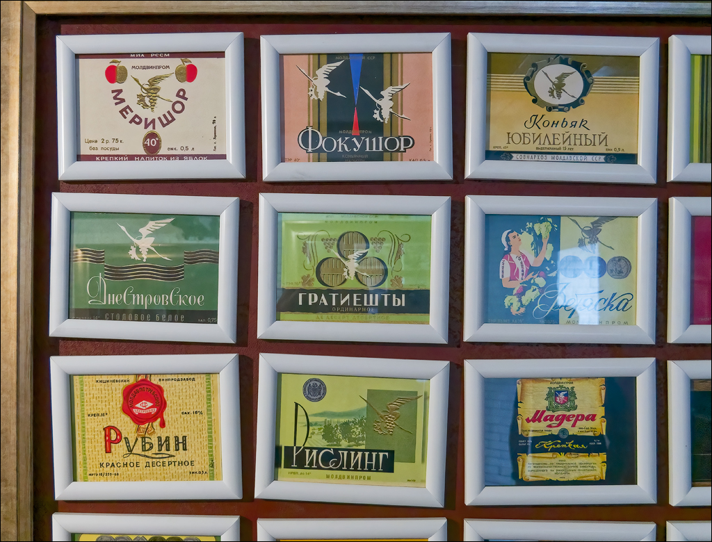 CojusnaWinery 27jul2024 180