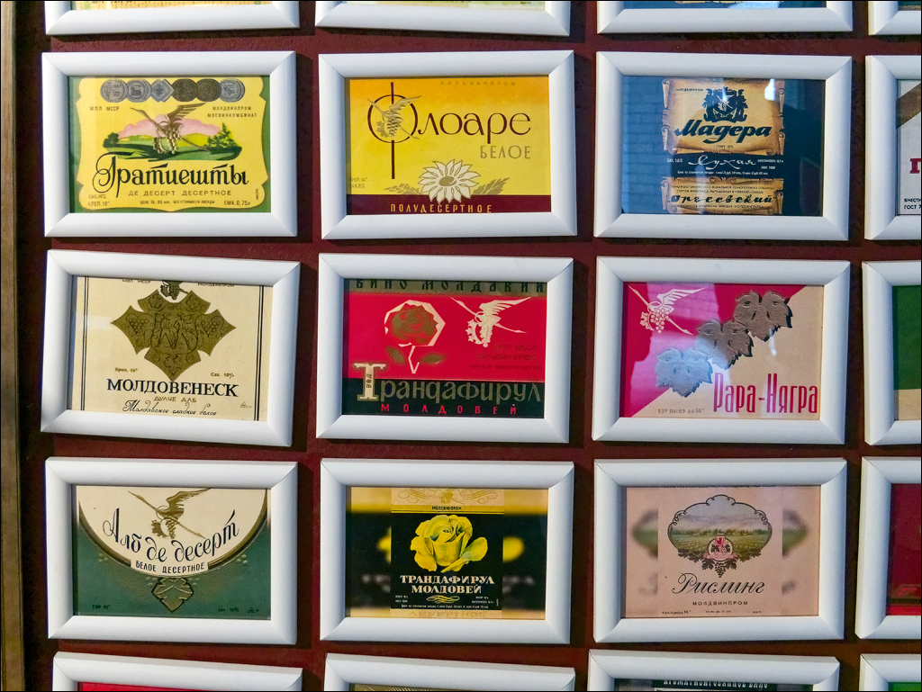 CojusnaWinery 27jul2024 181