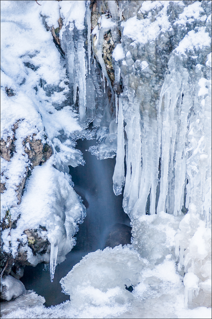 PadureaDomniasca Dec2005 011