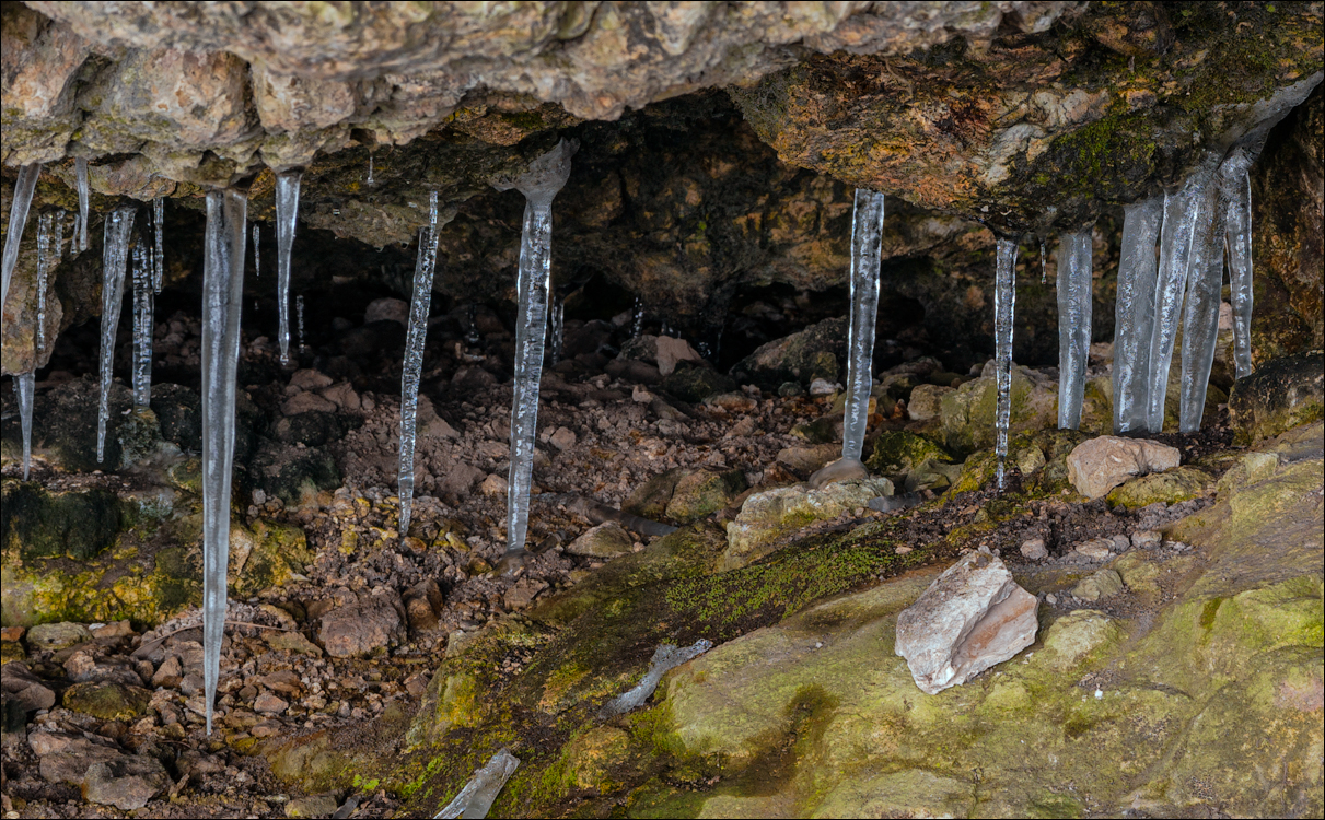 PadureaDomniasca Dec2005 022