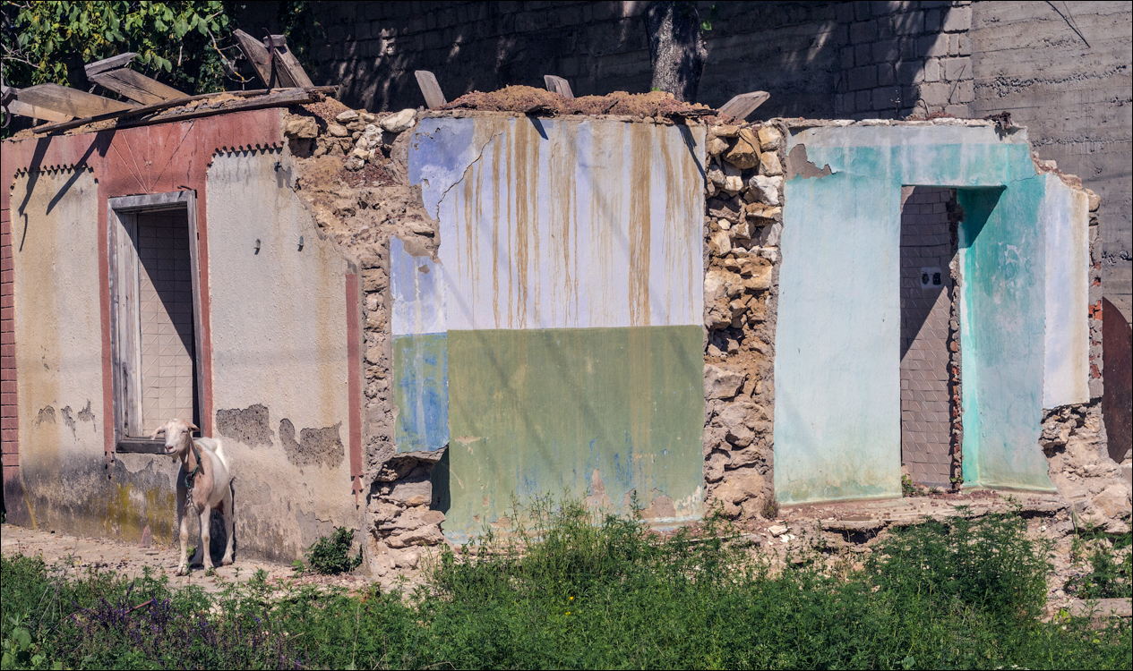 Sanatauca Racovat 201808011051