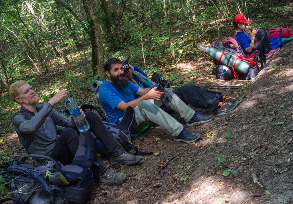 Sanatauca Racovat 201808011070