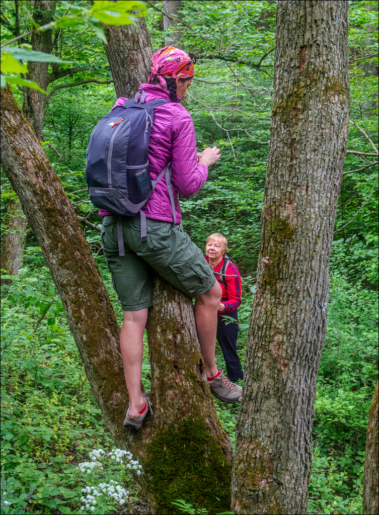 VadulRascov Socola 20180519007