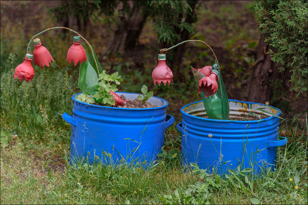 VadulRascov Socola 20180519061