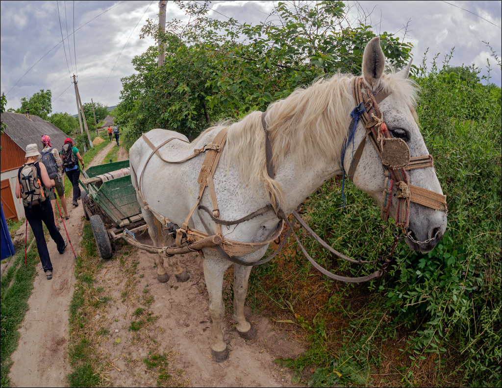 VadulRascov Socola 20180519105
