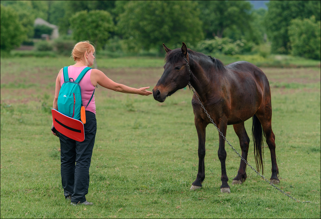 VadulRascov Socola 20180519115