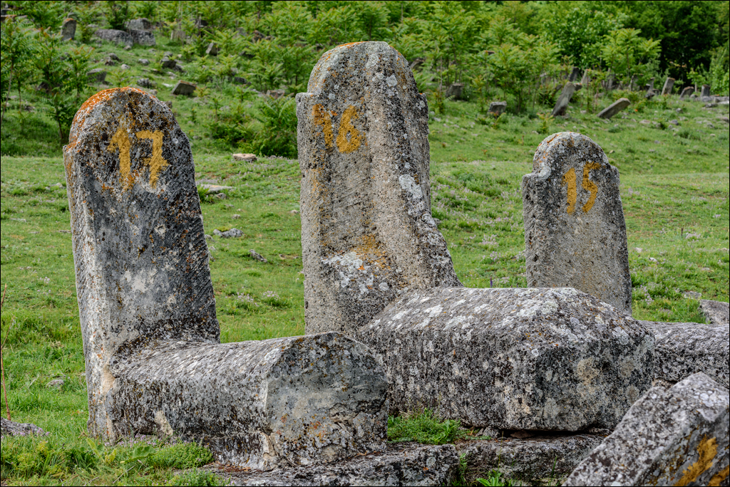 VadulRascov Socola 20180519117