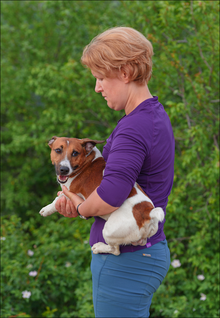 VadulRascov Socola 20180519126