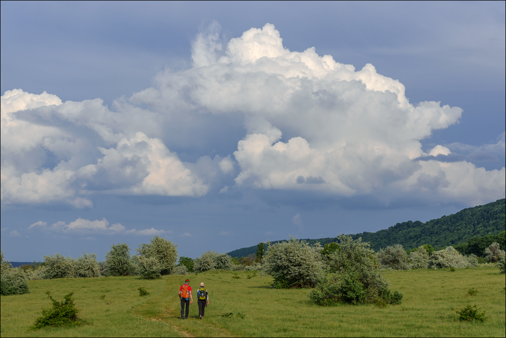 VadulRascov Socola 20180519161