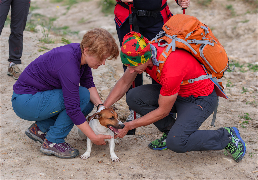 VadulRascov Socola 20180519164