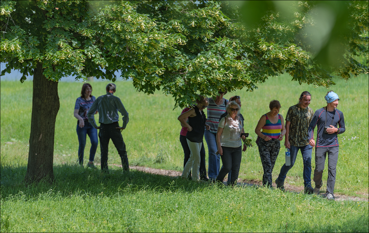 Costesti Duruitoarea PadureaDomn 20190427114