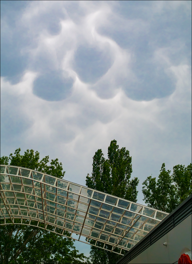 Costesti Duruitoarea PadureaDomn 20190427144