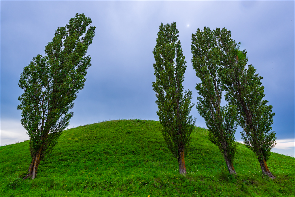 Costesti Duruitoarea PadureaDomn 20190427146