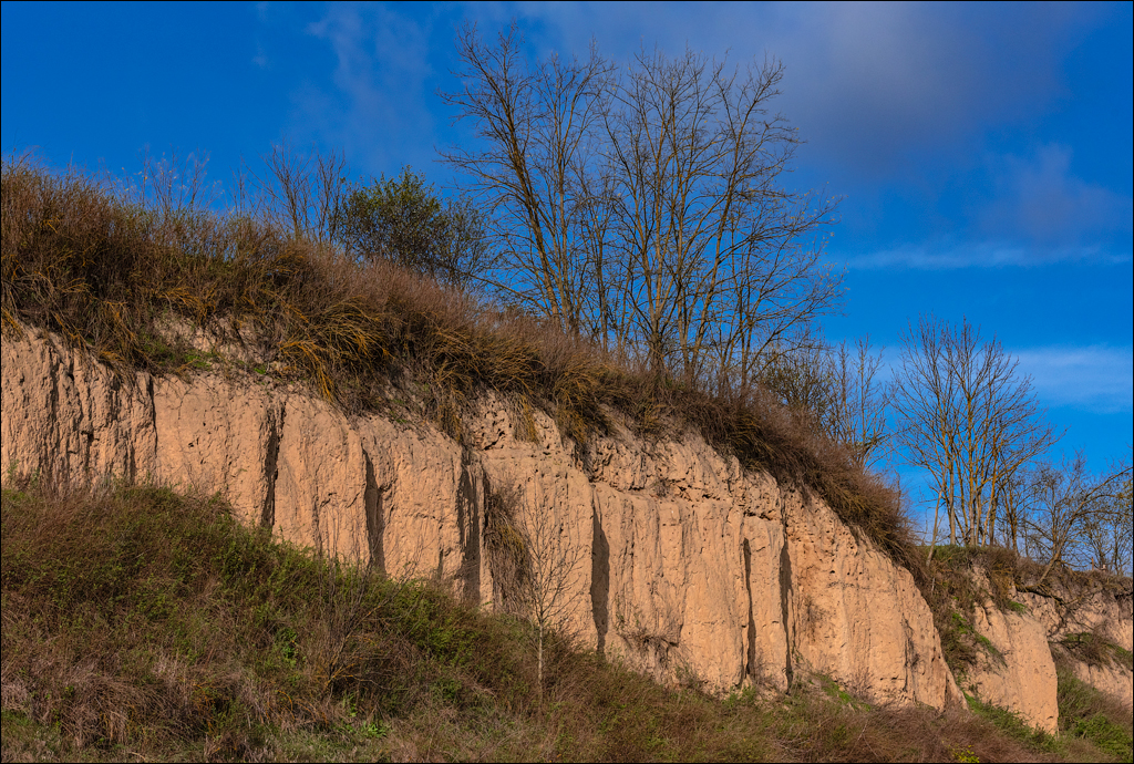 Naslavcea Taul Mindic 20201121 111