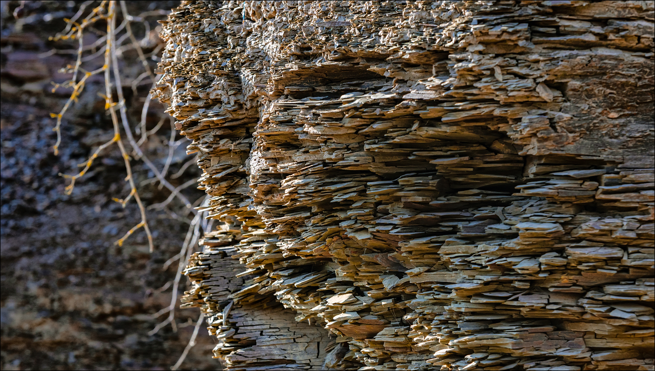 Naslavcea Taul Mindic 20201121 123