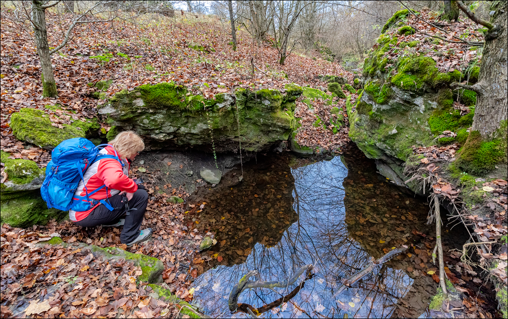 Naslavcea Taul Mindic 20201121 154