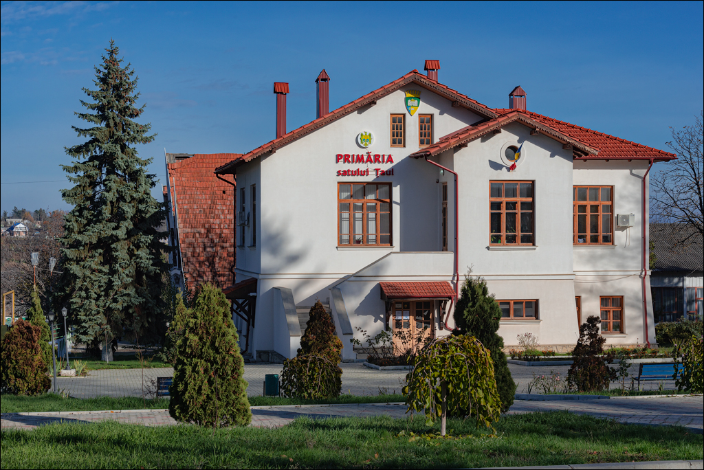 Naslavcea Taul Mindic 20201121 219