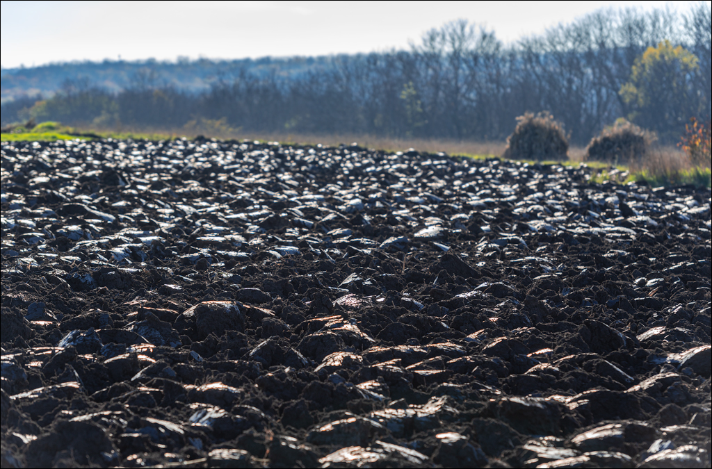 Naslavcea Taul Mindic 20201121 250