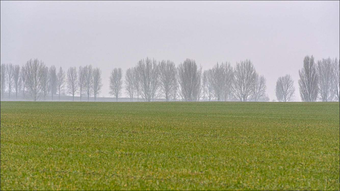 Rogi Dubosari Pohrebea 29122019 116