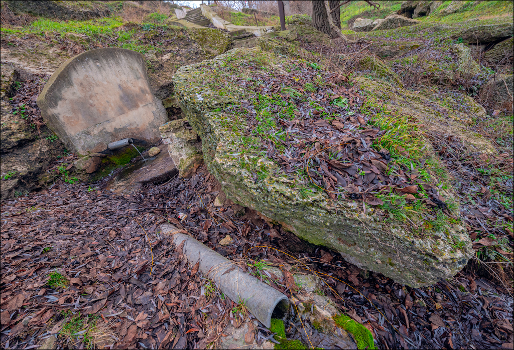 Rogi Dubosari Pohrebea 29122019 133