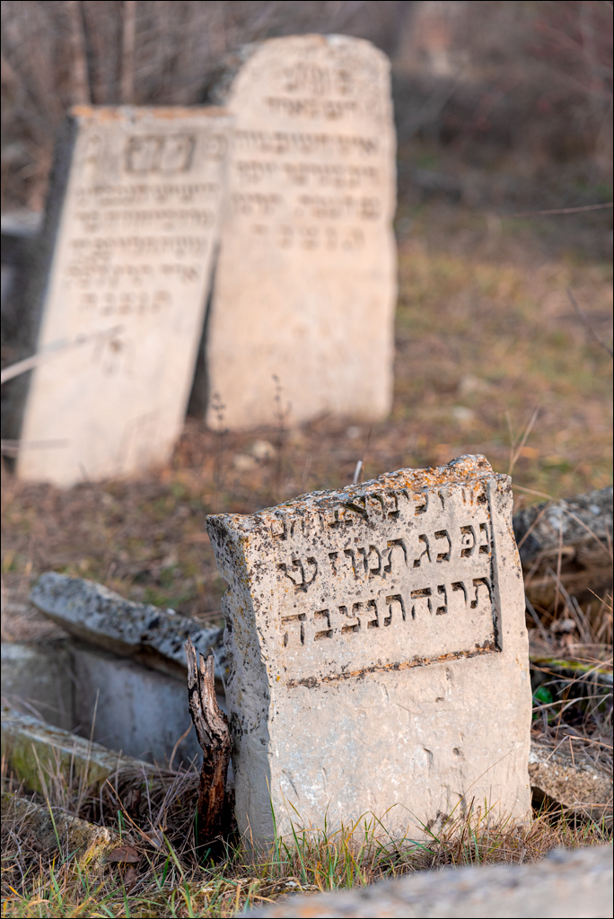 Rogi Dubosari Pohrebea 29122019 145