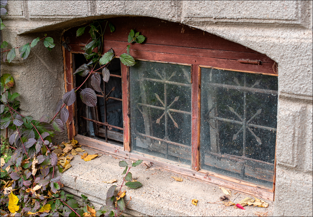 Taul Mindic122519 136