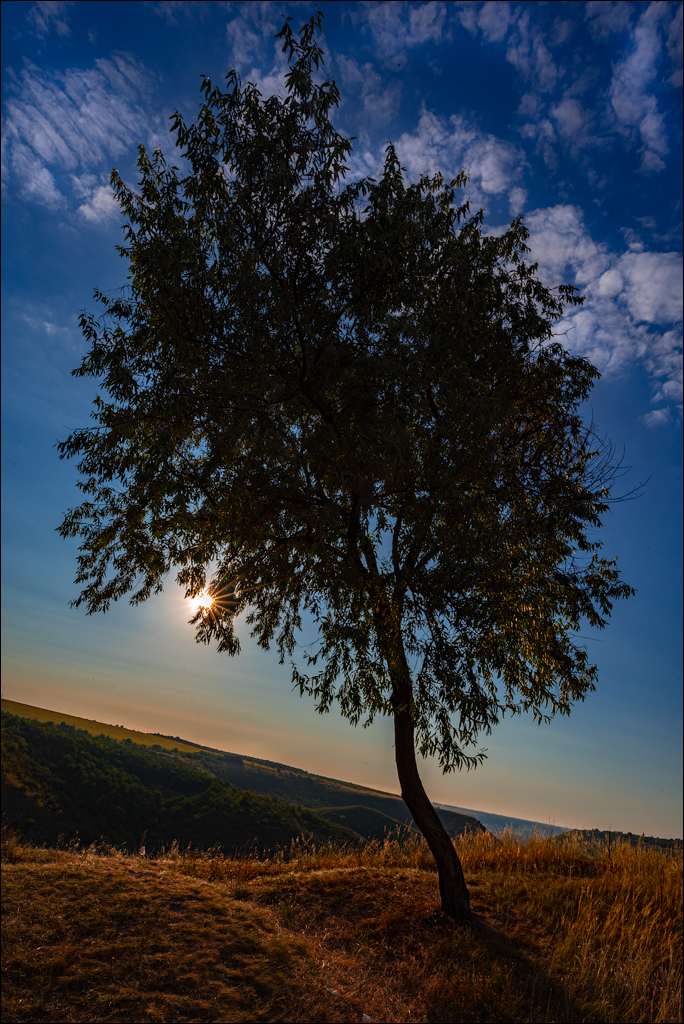 Tipova Zvezdopad 20160813 149