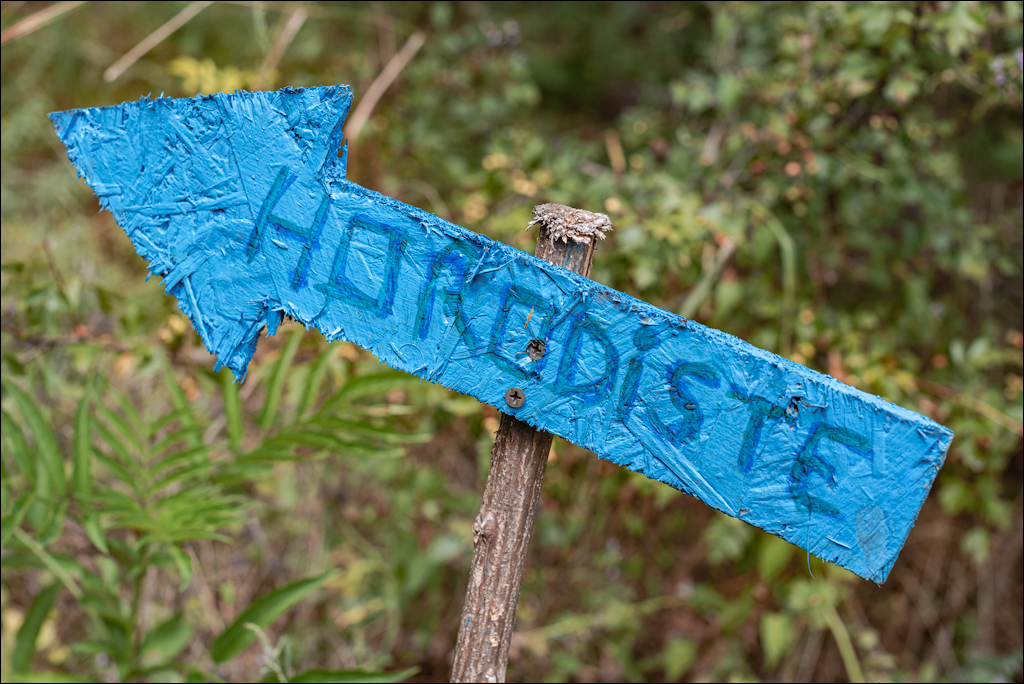 Tipova Zvezdopad 20160813 181