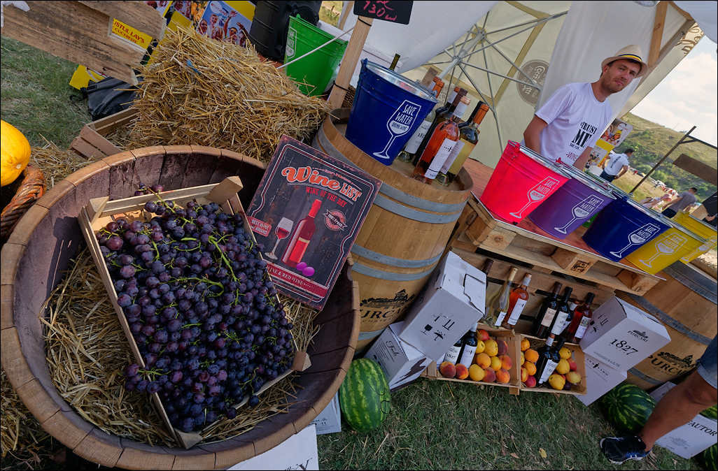 Gustar 201616080020804