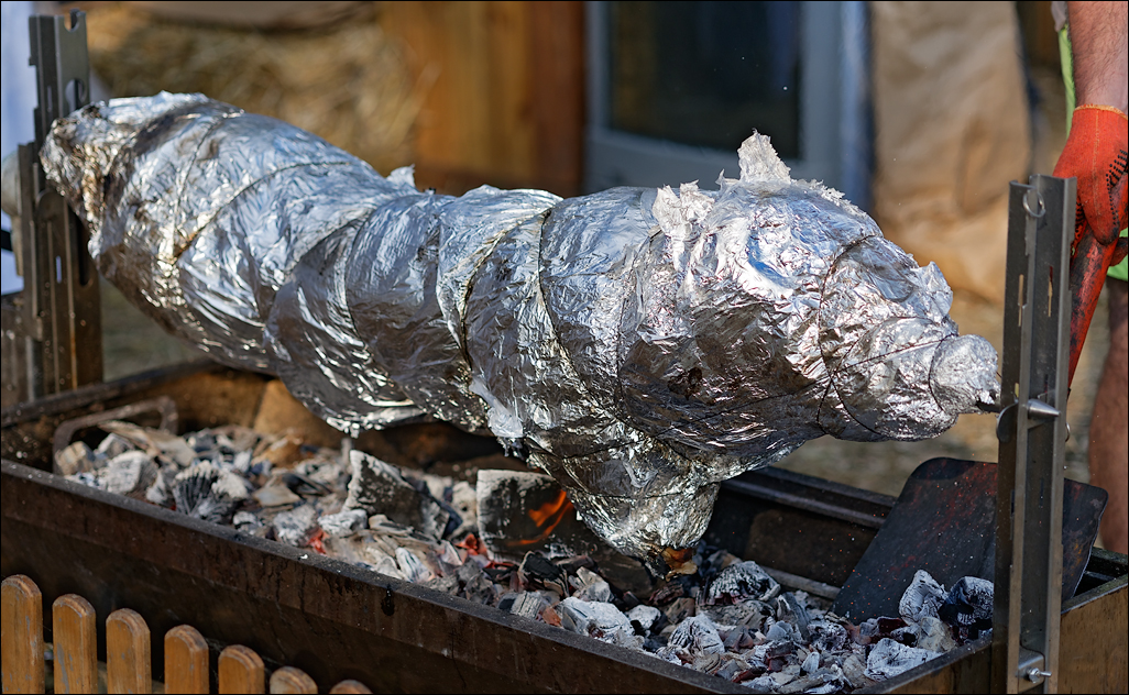 Gustar 201616080592132