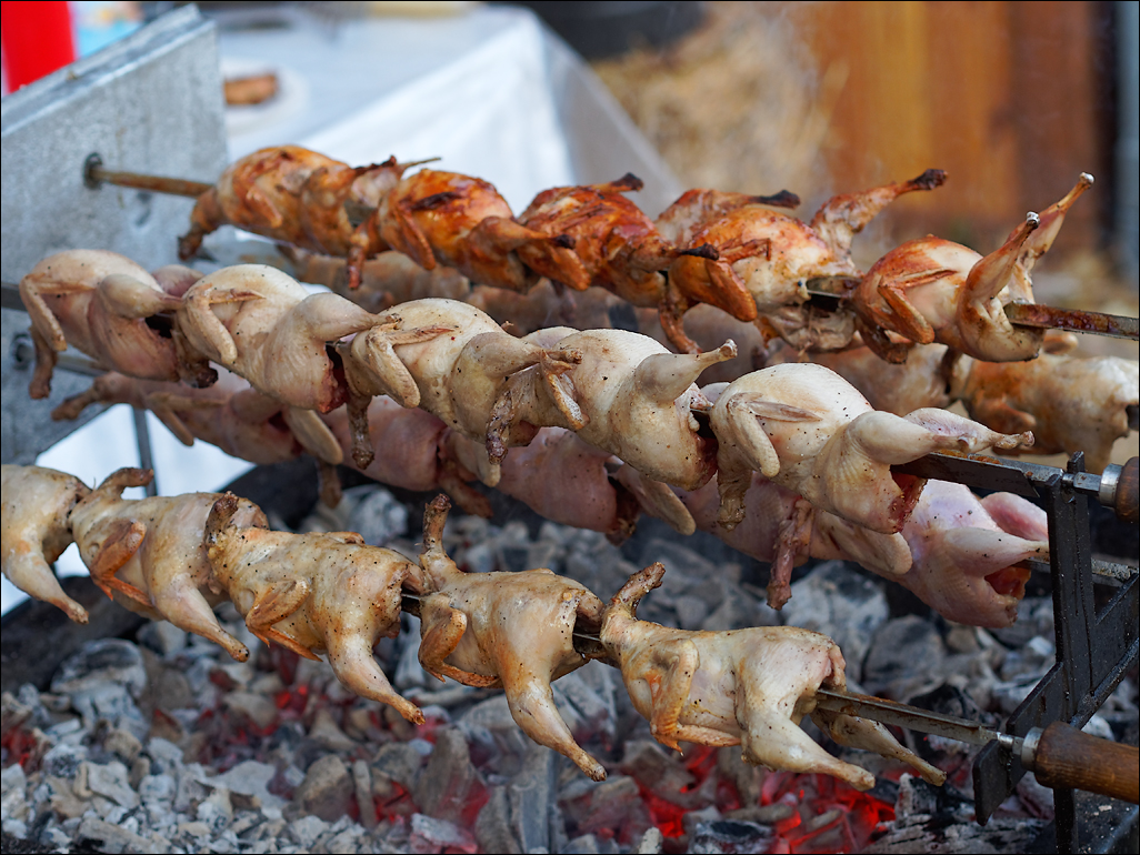 Gustar 201616081102304