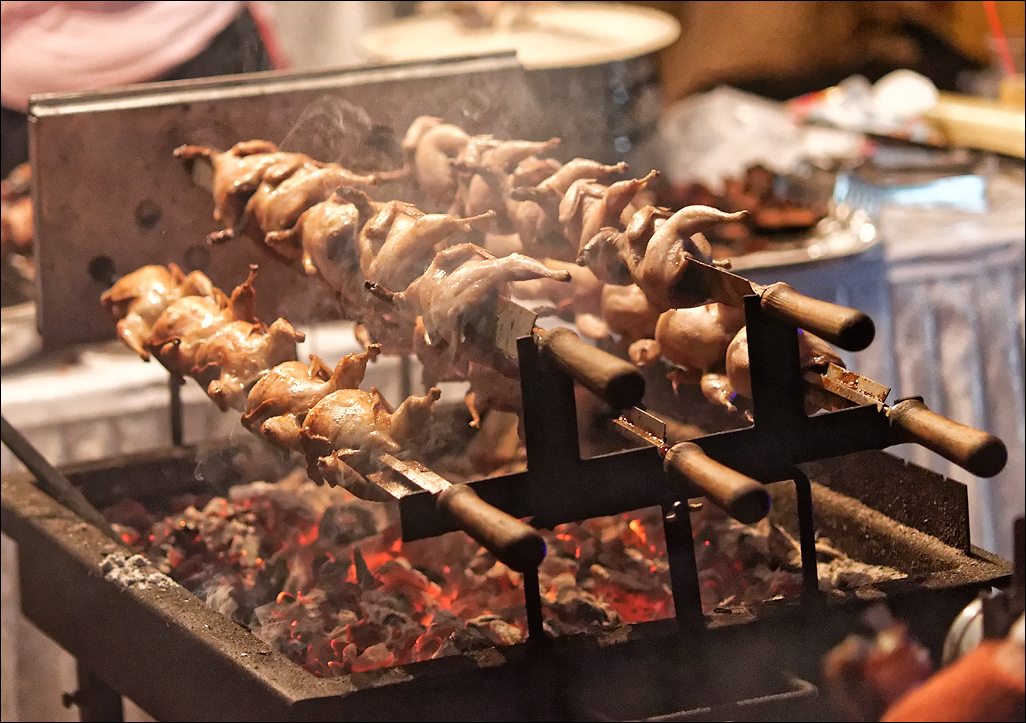 Gustar 201616081112155