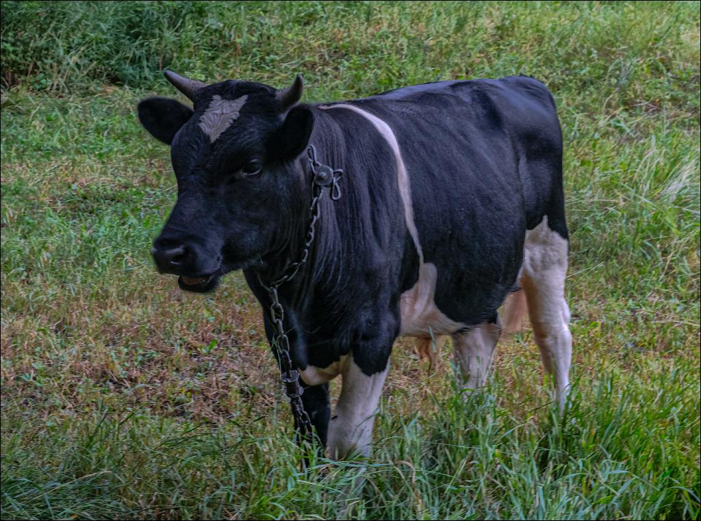 Saratei EcoFest 1 2jul2022 131