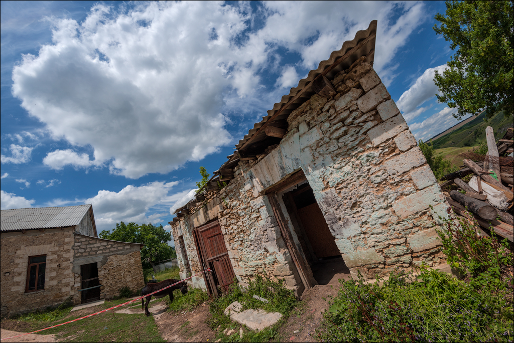 Horodiste SayCheeseFest Jun2018 024