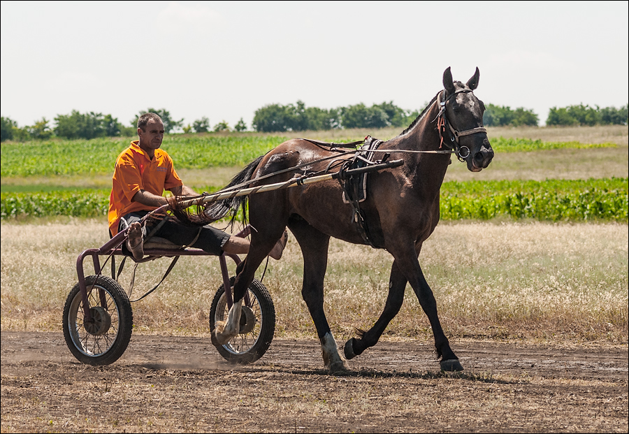 Tvardita 20150721135