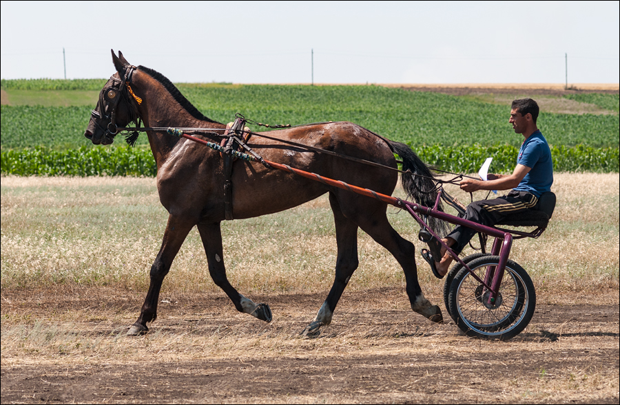 Tvardita 20150721148