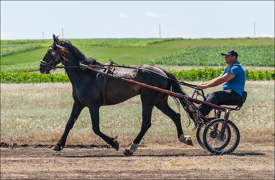 Tvardita 20150721151