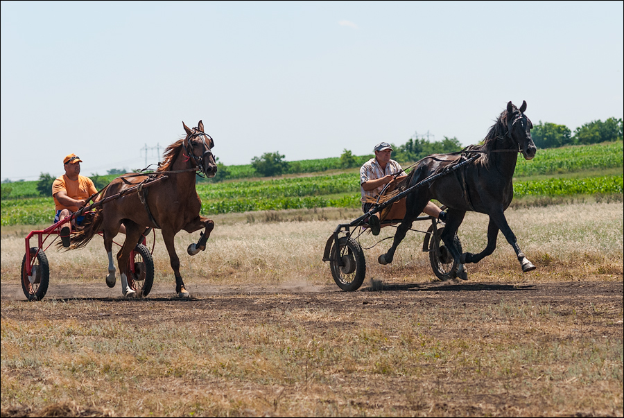 Tvardita 20150721163