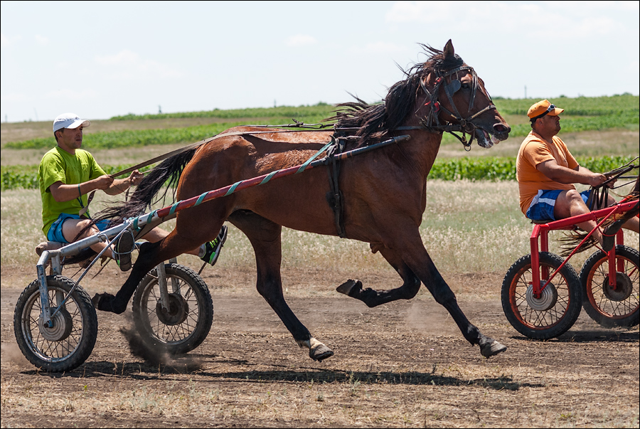 Tvardita 20150721167