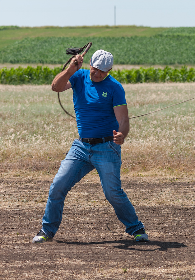 Tvardita 20150721169