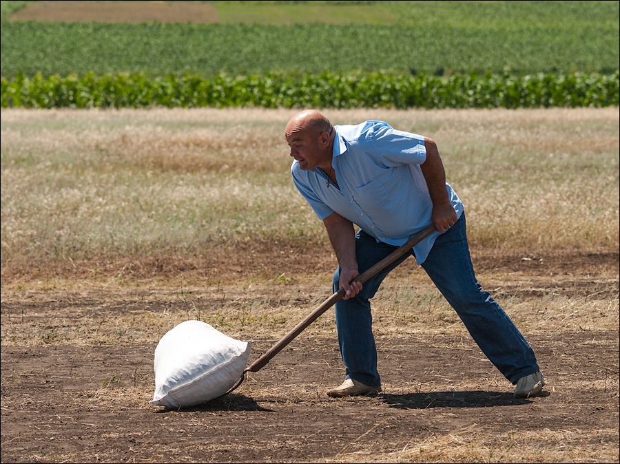 Tvardita 20150721176