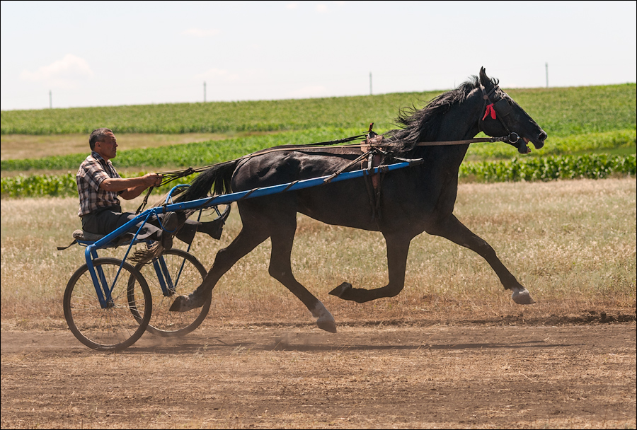 Tvardita 20150721178
