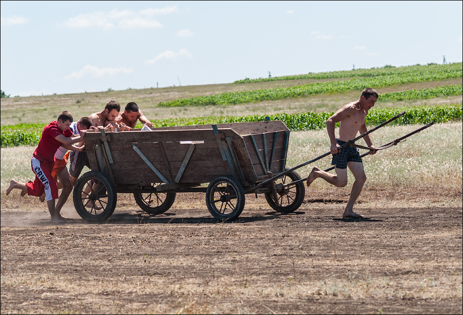 Tvardita 20150721186