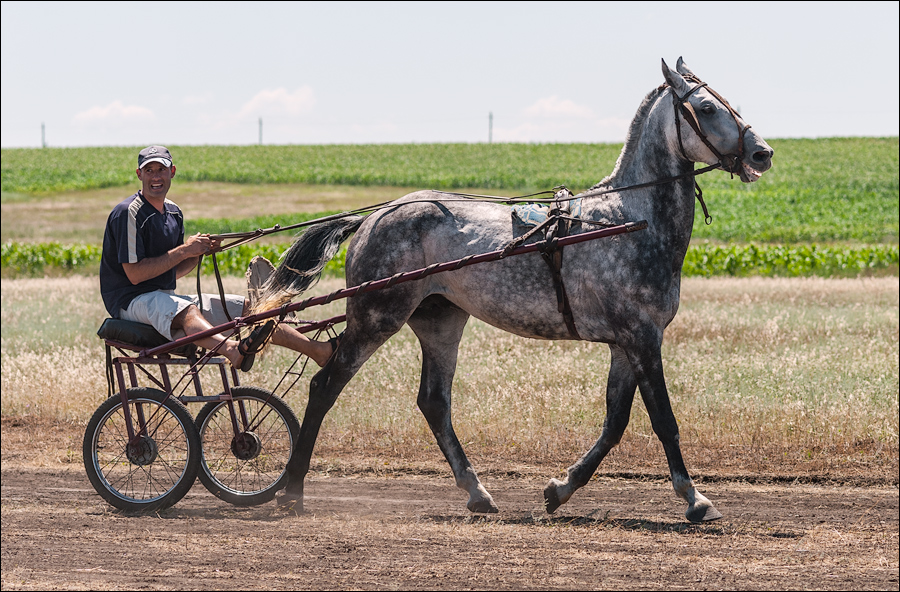 Tvardita 20150721196