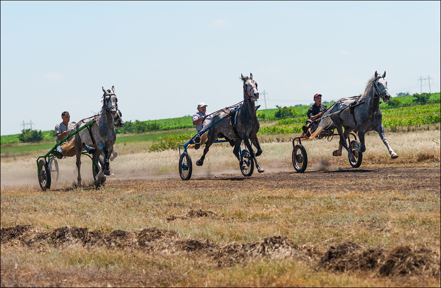 Tvardita 20150721199